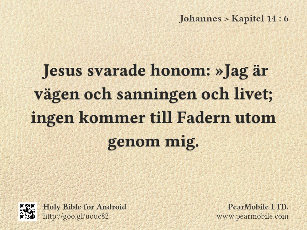 Johannes, Kapitel 14:6
